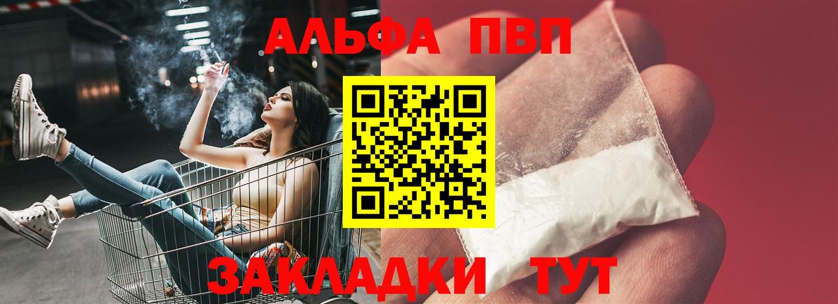 Alfa_PVP СК Ачхой-Мартан