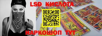 шишки Аргун