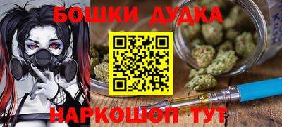 шишки Аргун
