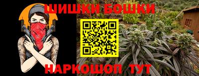 шишки Аргун
