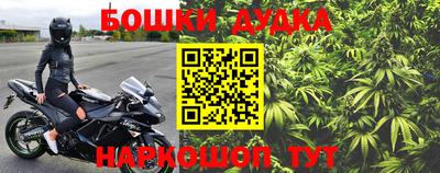 шишки Аргун