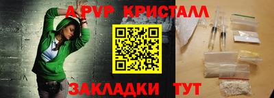 шишки Аргун