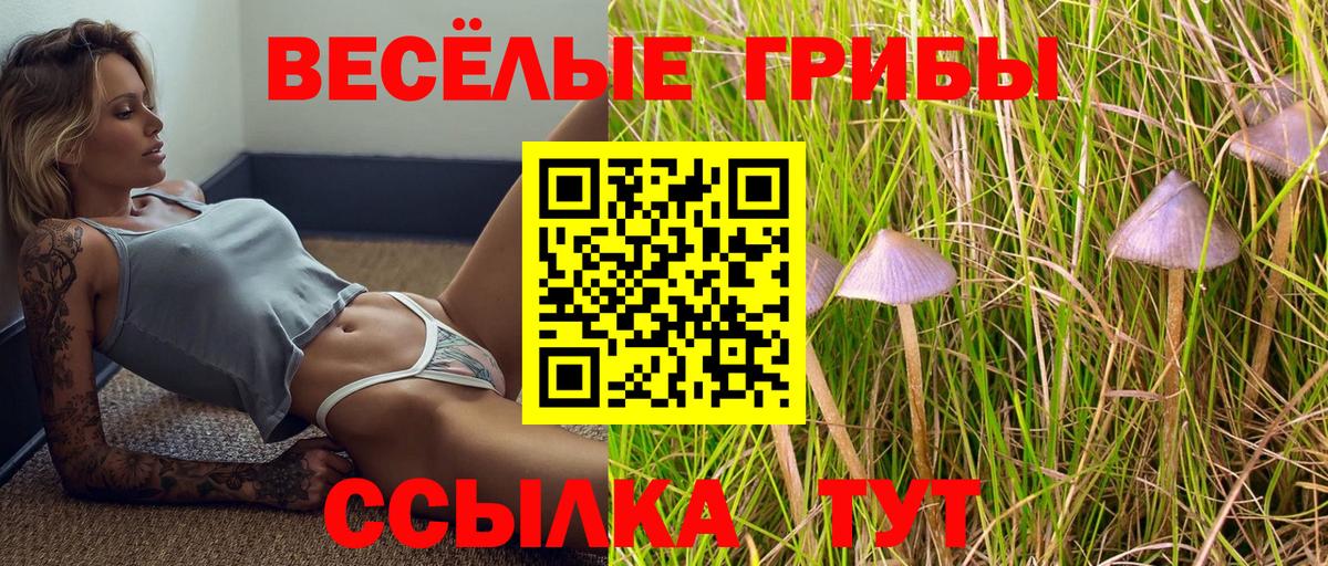 Псилоцибиновые грибы Psilocybe  Галлюциногенные грибы ЛСД  Ачхой-Мартан 