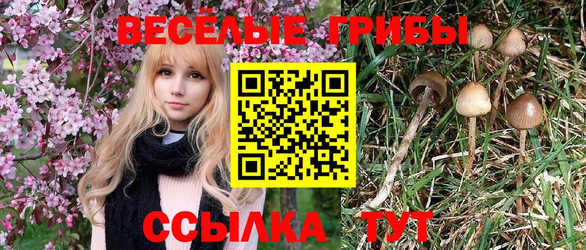 Кодеин  ГАШИШ  Канабис  Кокаин  Ачхой-Мартан  ТГК  НБОМе  МЕФ   Метадон  Вход с VPN 