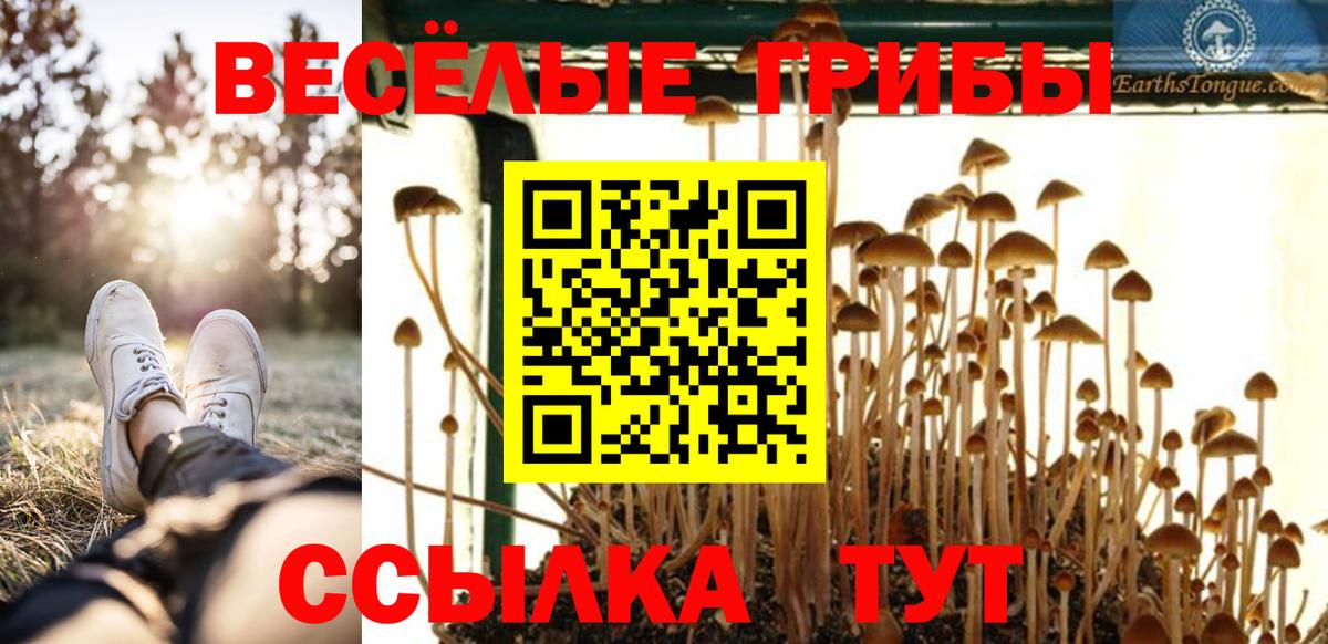 Галлюциногенные грибы Cubensis Ачхой-Мартан