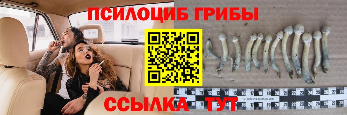 Галлюциногенные грибы Psilocybine cubensis  Галлюциногенные грибы мицелий  Ачхой-Мартан  Вход с VPN 