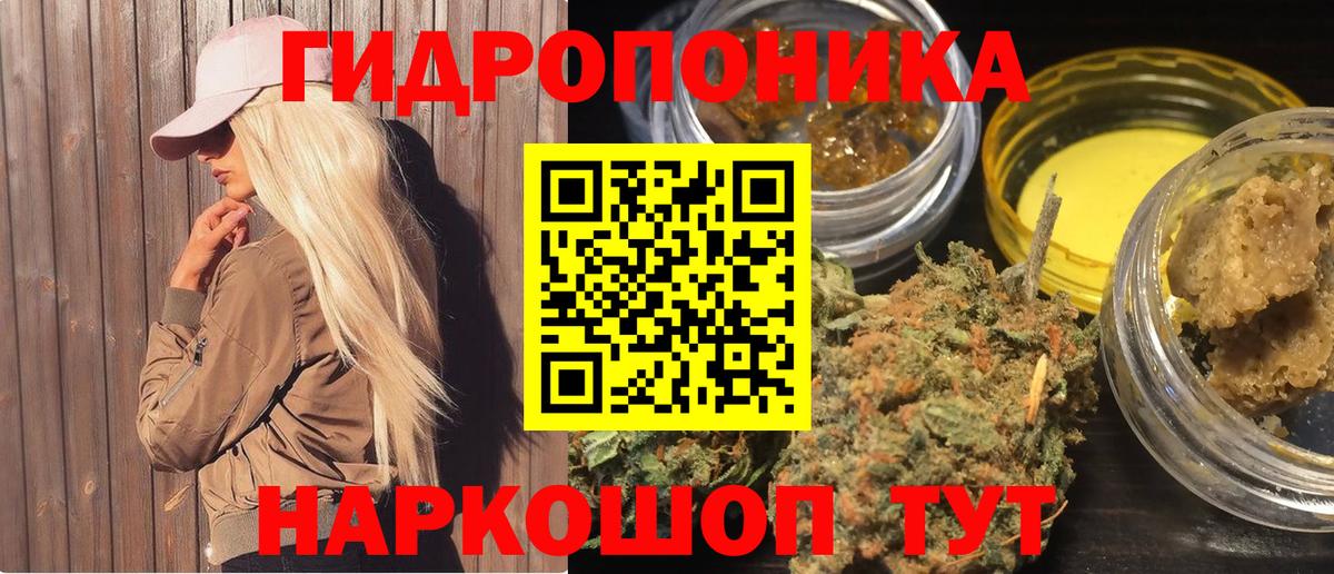 Канабис OG Kush Ачхой-Мартан